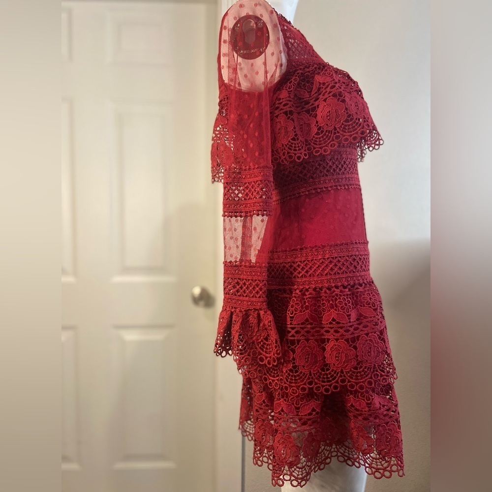 L & F~NWT~Lovely~Tiered Ruffle~Sheer Netting~Embroidered Lace~Mini Dress~Size S - Picture 6 of 15